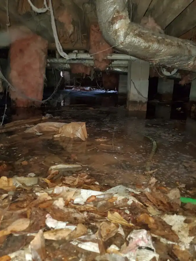 Crawl space flood assessment for Leak Detection & Repair in Corbin