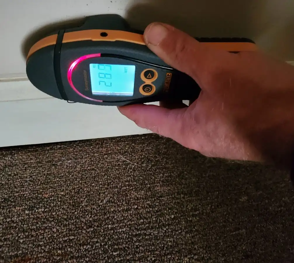 Moisture detection at baseboard during Sewage Cleanup & Sanitation in Corbin